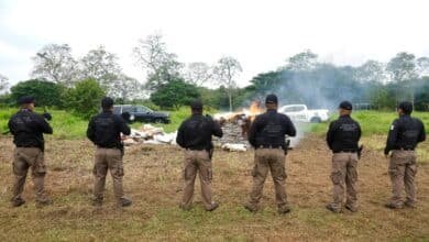 Destruyen cerca de una tonelada de drogas asegurada en Tabasco