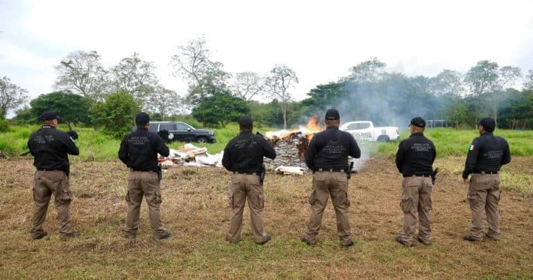 Destruyen cerca de una tonelada de drogas asegurada en Tabasco