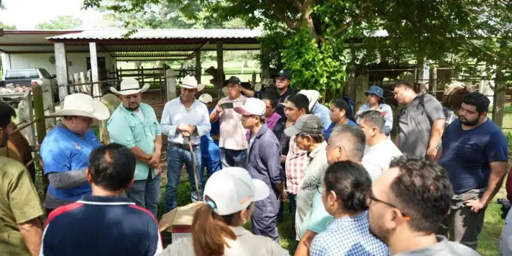 forman nuevos especialistas en salud animal