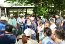 forman nuevos especialistas en salud animal