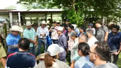 forman nuevos especialistas en salud animal