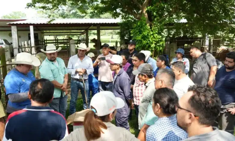 forman nuevos especialistas en salud animal