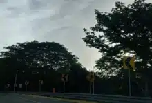 humedad elevada para tabasco