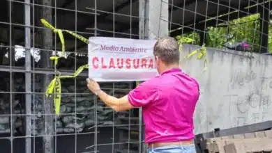 Incauta 22 toneladas de Carbón vegetal