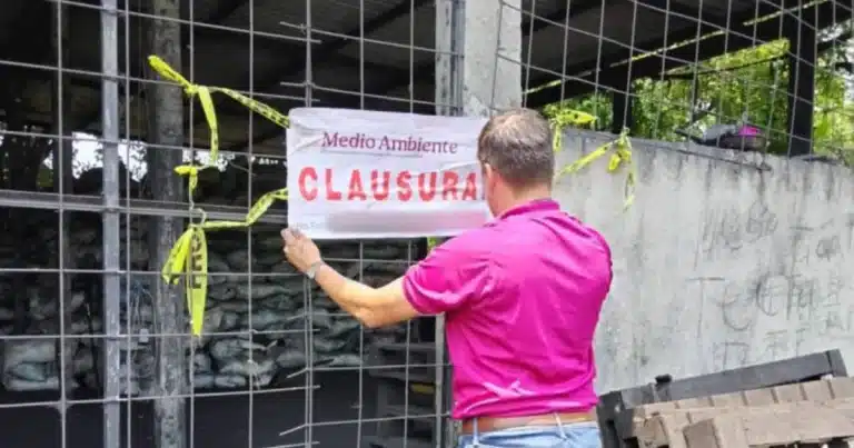Incauta 22 toneladas de Carbón vegetal