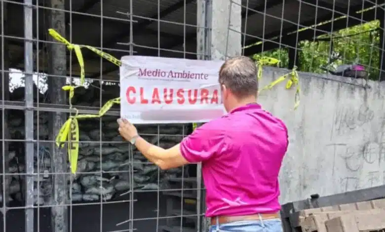Incauta 22 toneladas de Carbón vegetal