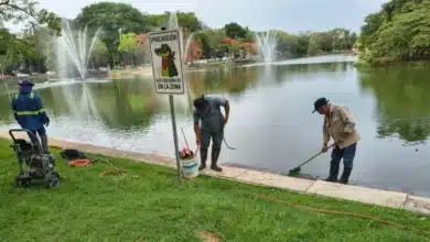 intensifican limpieza en laguna de las ilusiones