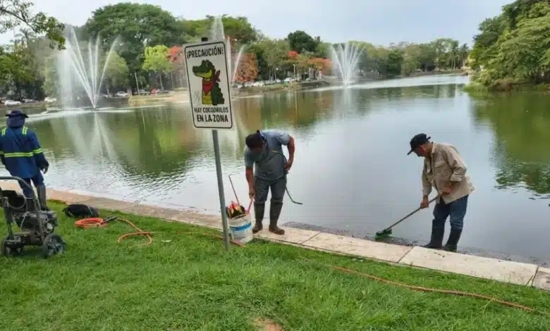 intensifican limpieza en laguna de las ilusiones