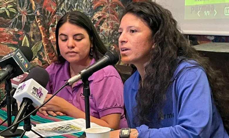 lanzan convocatoria para transformar el futuro alimentario con agroecología popular
