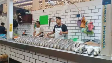 Mariscos, el menú favorito para papá