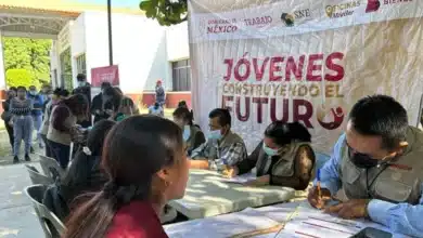 Más de 10 mil jóvenes en Construyendo el Futuro