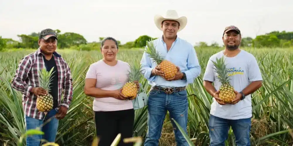 mecanizan campo tabasqueño