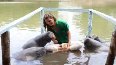 monserrat oliver enamora a las redes con la belleza de tabasco