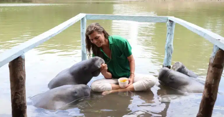 monserrat oliver enamora a las redes con la belleza de tabasco