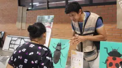 multas partidistas financian la ciencia