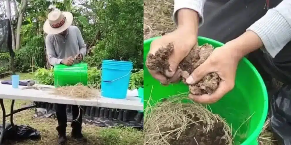 Fortalecen  la restauración ambiental