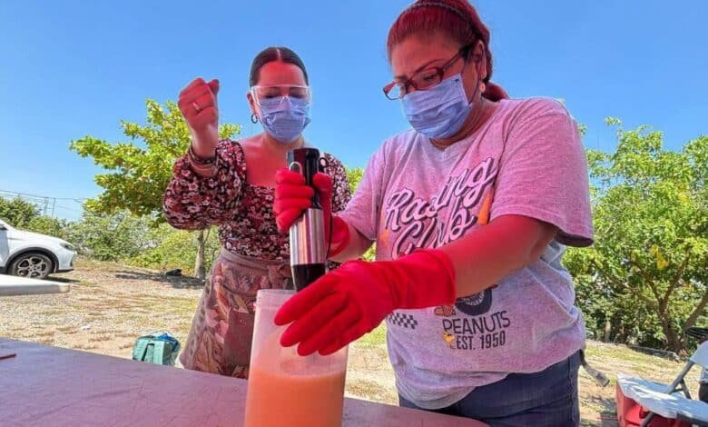 Transforman aceite de cocina usado en jabón