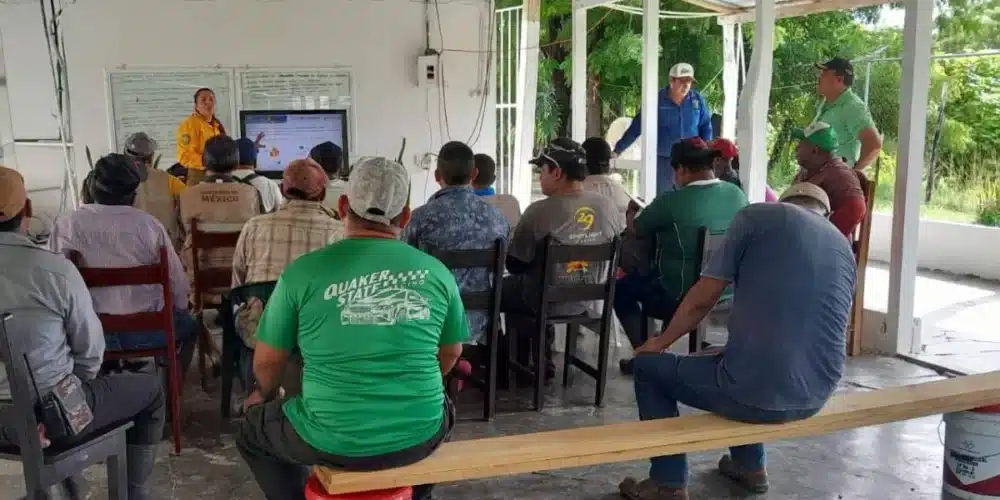 Técnicos de Sembrando Vida se arman contra los incendios forestales