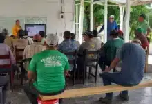 Técnicos de Sembrando Vida se arman contra los incendios forestales