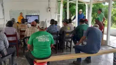 Técnicos de Sembrando Vida se arman contra los incendios forestales