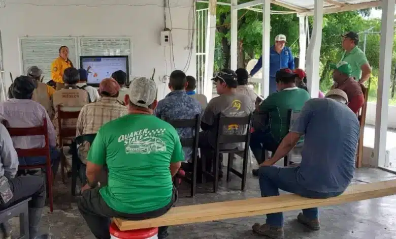 Técnicos de Sembrando Vida se arman contra los incendios forestales