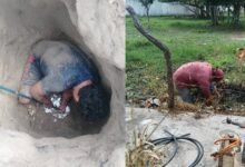 Más de 100 reportes diarios: SAS