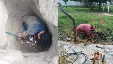 Más de 100 reportes diarios: SAS