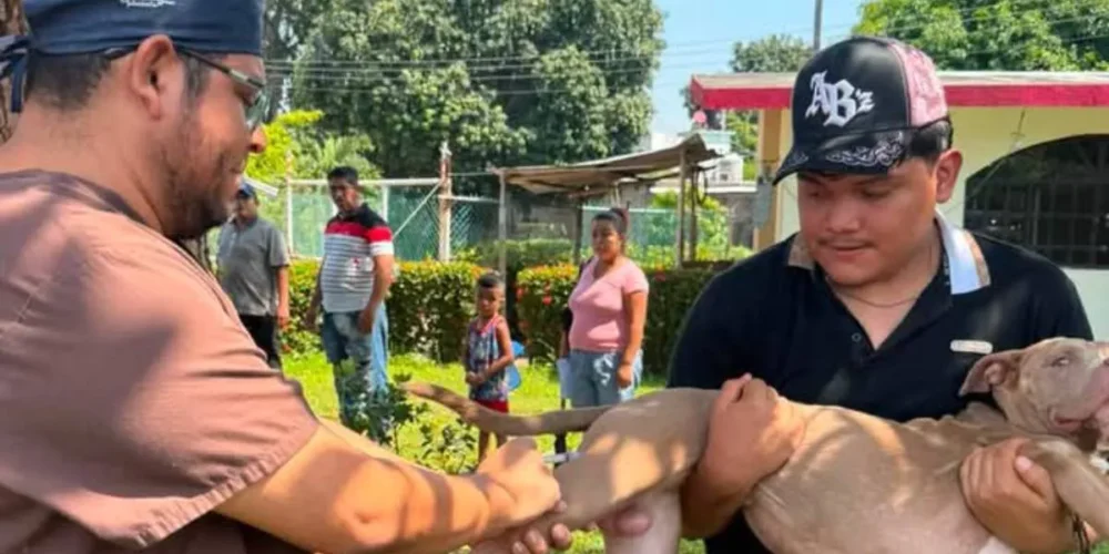 Suman más de 3 mil cirugías gratuitas en Centro