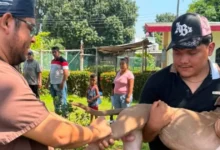 Suman más de 3 mil cirugías gratuitas en Centro