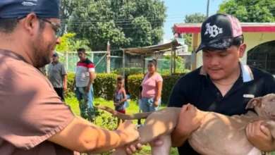 Suman más de 3 mil cirugías gratuitas en Centro