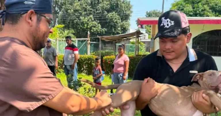 Suman más de 3 mil cirugías gratuitas en Centro