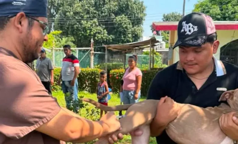 Suman más de 3 mil cirugías gratuitas en Centro