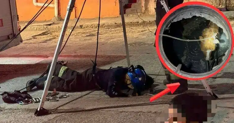 rescatan a caballo tras caer en alcantarilla destapada en ocuiltzapotlán