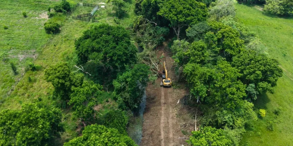 rescatan el campo en la chontalpa