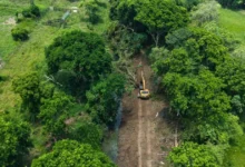 rescatan el campo en la chontalpa