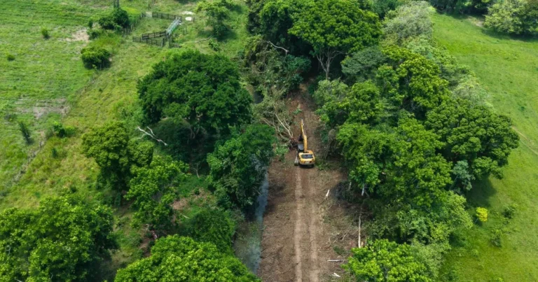 rescatan el campo en la chontalpa