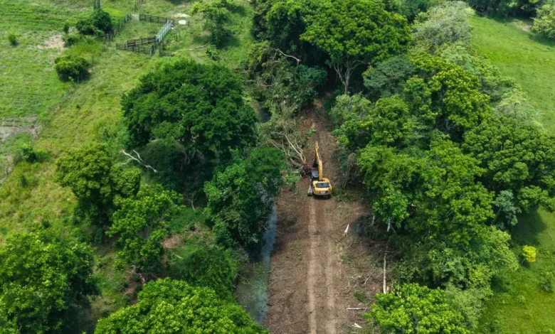 rescatan el campo en la chontalpa