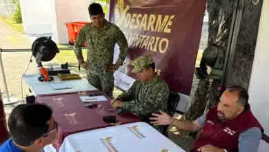 retiran más de 30 armas de fuego de la calles