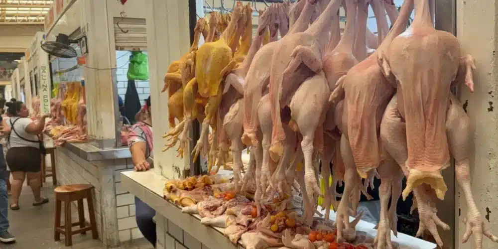se dispara un 25 por ciento el precio del pollo