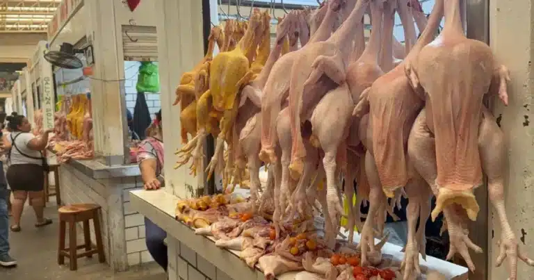 se dispara un 25 por ciento el precio del pollo
