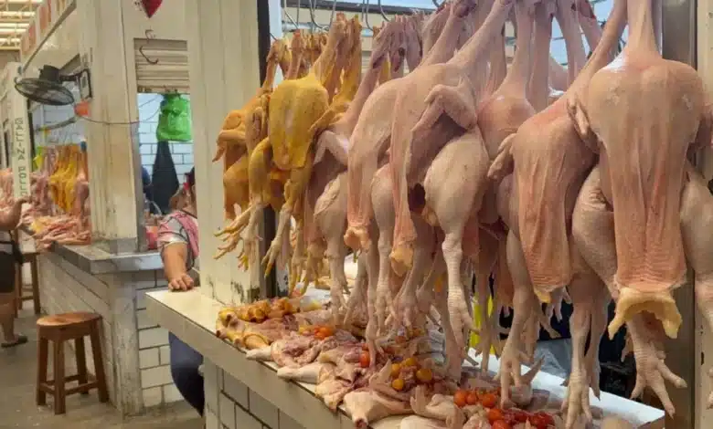 se dispara un 25 por ciento el precio del pollo