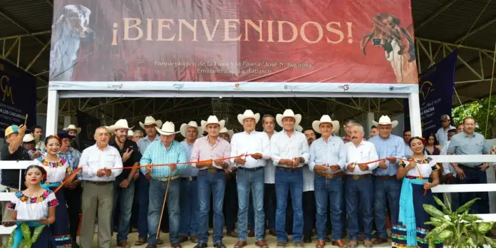 tabasco apuesta por la genética pecuaria