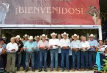tabasco apuesta por la genética pecuaria