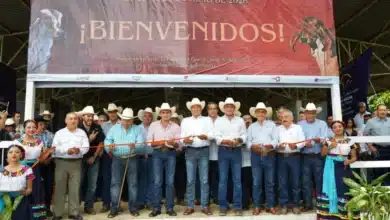 tabasco apuesta por la genética pecuaria