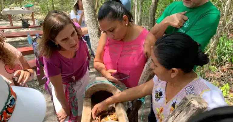 Tabasco impulsa el turismo comunitario
