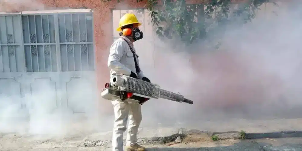 Tabasco mantiene acciones contra el dengue