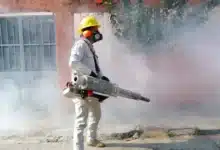 Tabasco mantiene acciones contra el dengue