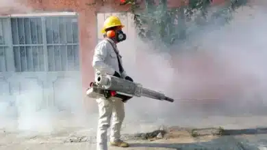 Tabasco mantiene acciones contra el dengue