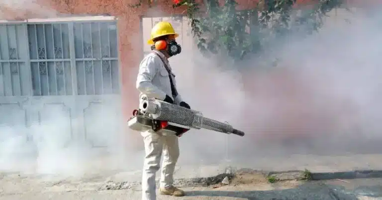 Tabasco mantiene acciones contra el dengue