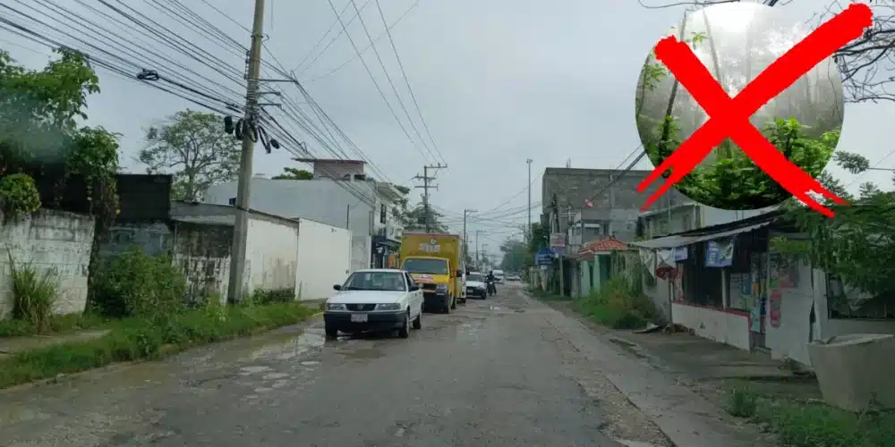 Tramos de carretera Bosques-Selva, totalmente destruida